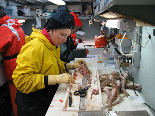 Measuring fish